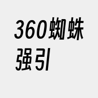 360蜘蛛强引