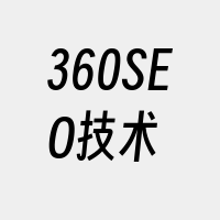 360SEO技术