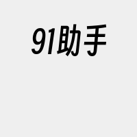 91助手