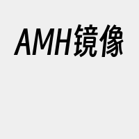 AMH镜像