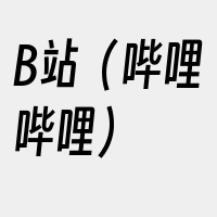 B站（哔哩哔哩）