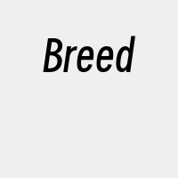 Breed