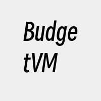 BudgetVM