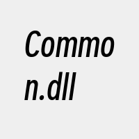 Common.dll