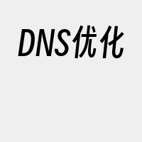 DNS优化