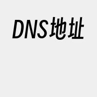 DNS地址