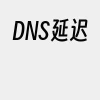 DNS延迟