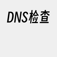 DNS检查