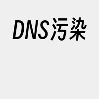 DNS污染