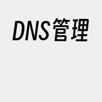 DNS管理