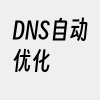 DNS自动优化