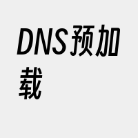 DNS预加载