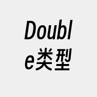 Double类型