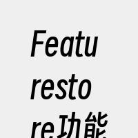 Featurestore功能