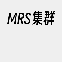 MRS集群