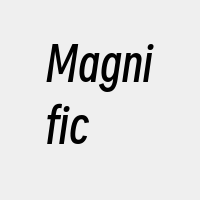 Magnific