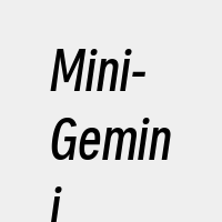 Mini-Gemini