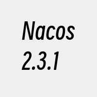 Nacos2.3.1