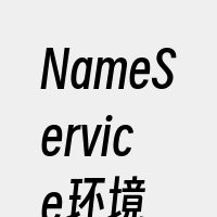 NameService环境