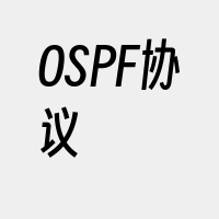 OSPF协议