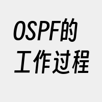OSPF的工作过程