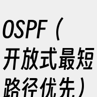 OSPF（开放式最短路径优先）协议