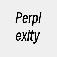 Perplexity