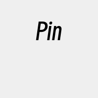 Pin