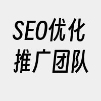 SEO优化推广团队