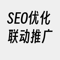 SEO优化联动推广