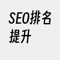 SEO排名提升