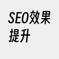 SEO效果提升