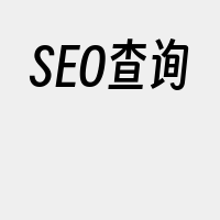 SEO查询