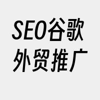 SEO谷歌外贸推广