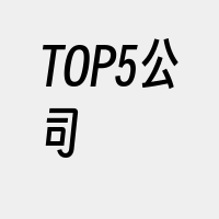 TOP5公司