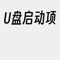 U盘启动项