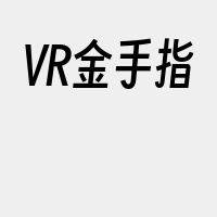 VR金手指