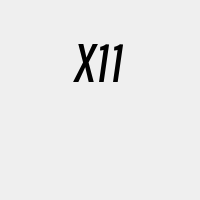 X11