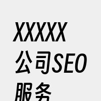 XXXXX公司SEO服务