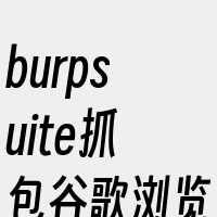 burpsuite抓包谷歌浏览器