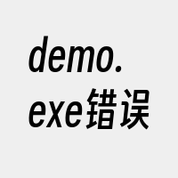 demo.exe错误