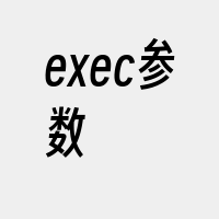 exec参数