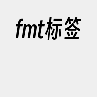 fmt标签