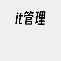 it管理