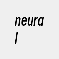 neural