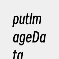 putImageData