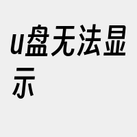 u盘无法显示