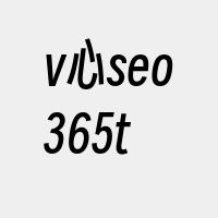 v心seo365t