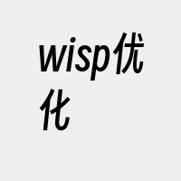 wisp优化